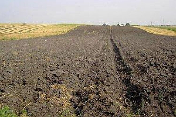 Волинь – одна із перших областей, де запрацює електронний фермерський реєстр