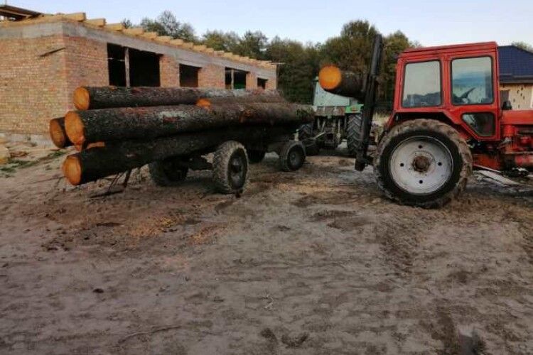 Сліди з місця самовільної рубки лісу привели до приватного будинку на Ківерцівщині