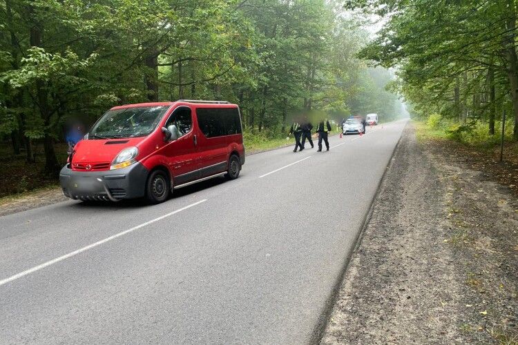 У Луцькому районі водій збив пішохідку