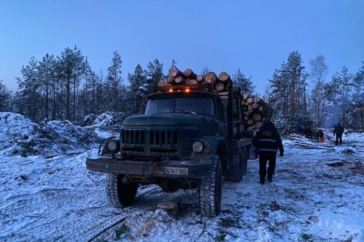 На Ковельщині арештували вантажівку із деревиною (Фото)