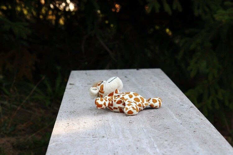 На Волині матір ігнорувала поради лікарів, поки її син не помер