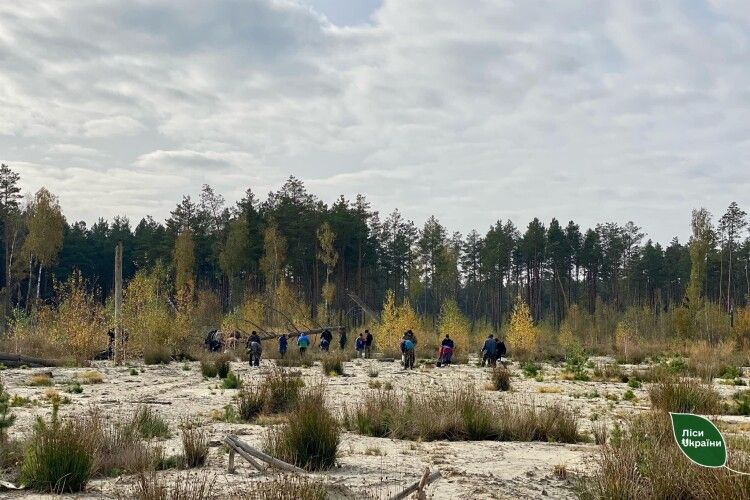 На Рівненщині відновлюють ділянки, пошкоджені незаконним видобутком бурштину