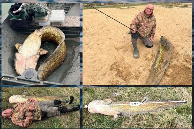 На Вінниччині спіймали річкового велетня