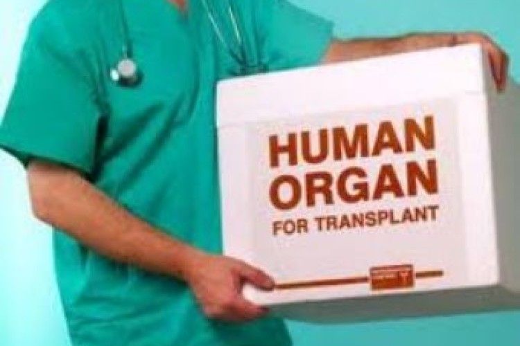 Верховна Рада дозволила трансплантацію органів