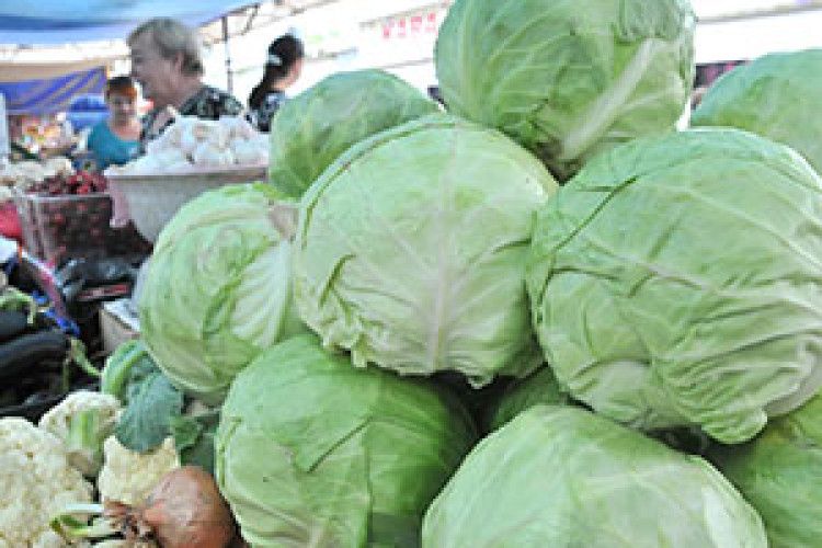 КАПУСТА ВЖЕ ПО 9 ГРИВЕНЬ! А ЩО БУДЕ ВЗИМКУ?