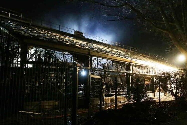 Трагедія у новорічну ніч: під час пожежі в зоопарку загинуло багато тварин