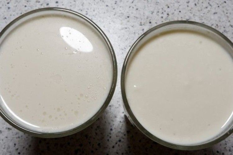 Стало відомо, чим отруїлись діти у таборі «Славутич»