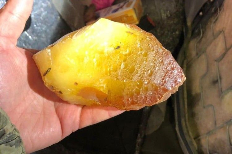 Майже 25 кілограмів бурштину виявили прикордонники (Фото, відео)