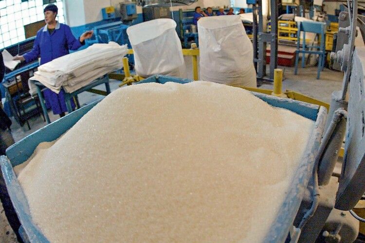 В Україні не запуститься 10 цукрових заводів. Гнідавський працюватиме
