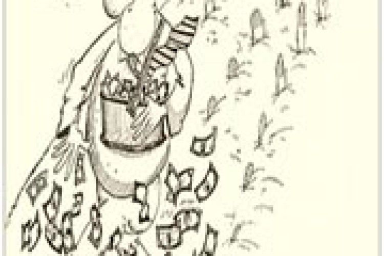 ОСЬ ТАК ВОНИ «ЗАСІВАЮТЬ»…*