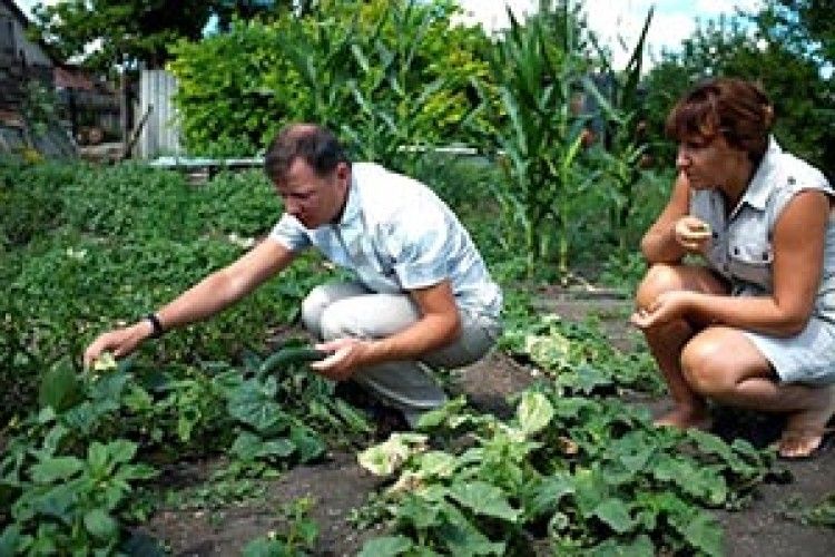 ОЛЕГ ЛЯШКО:  «ЯК ЕМІРАТАМ БОГ ДАВ НАФТУ, ТАК УКРАЇНІ БОГ ДАВ ЗЕМЛЮ»*