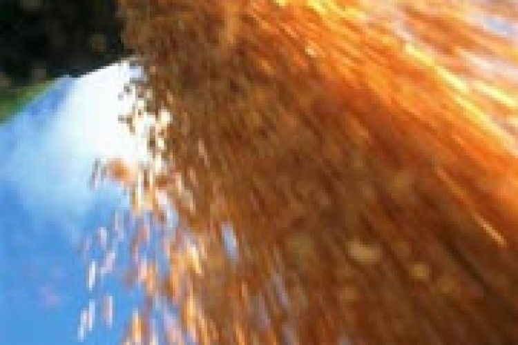 СТАРТУВАЛИ ЖНИВА: ПРОБЛЕМ ЦІЛА КОПА