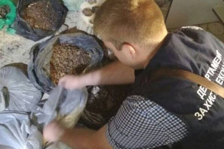У Луцькому гаражі знайшли 80 кг бурштину