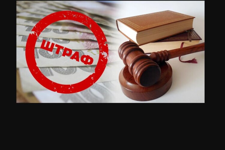 На Волині пані судили за те, що заїхала пану у вухо