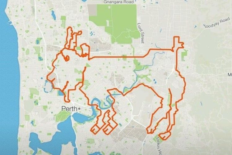 Австралійські велосипедисти «намалювали» козла завдовжки 202 км