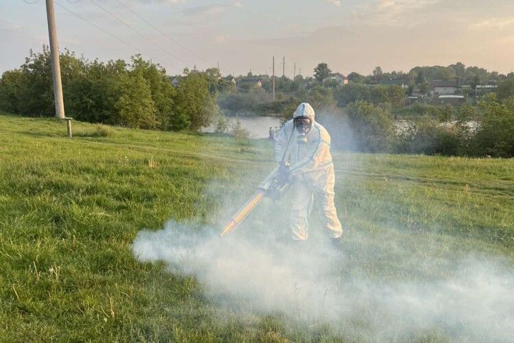 На Волині кліщі покусали вже майже 300 людей, третина з них – діти