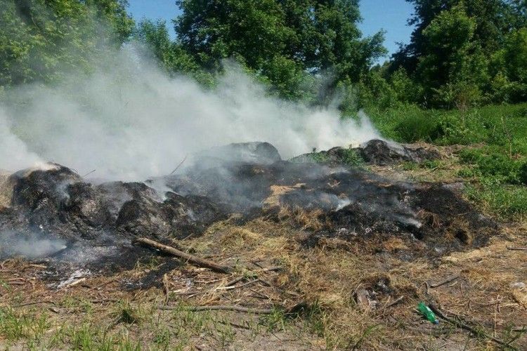 У луцькому парку вирувала пожежа
