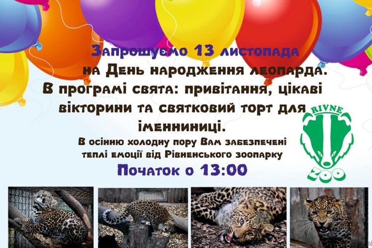 Допоможи рівненській леопардисі задмухати свічки на святковому торті