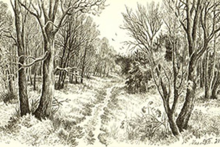 ПЕРЕДЗИМ’Я