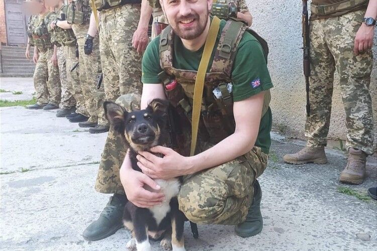 У волинській теробороні служить пес-«доброволець»