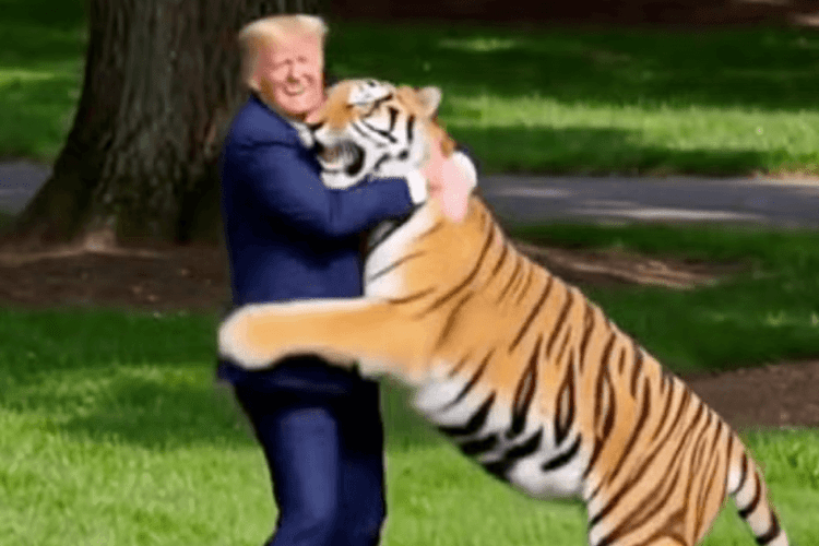 Трамп виклав ШІ-відео з обіймами тигра, який убив британця в зоопарку