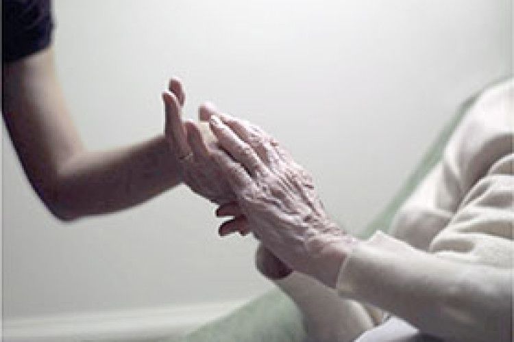 У МУКАХ ДЕНЬ СТАЄ РОКОМ…