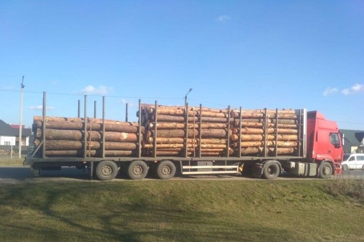 В Любомлі затримали вантажівку із незаконною лісопродукцією