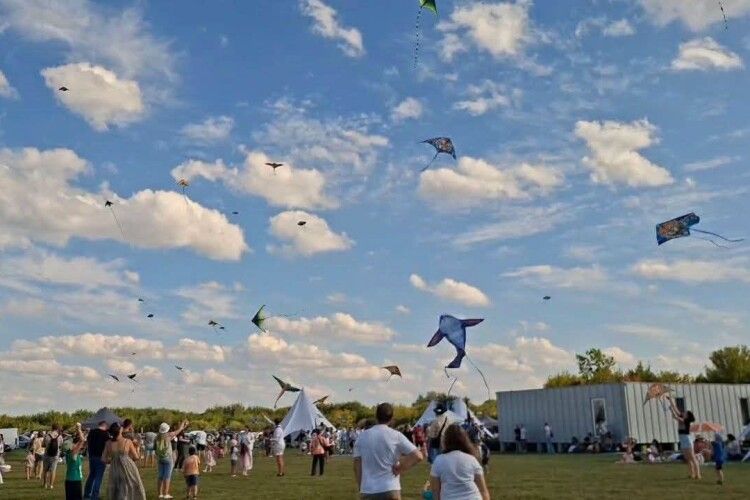 На Волині літали не дрони, а... змії