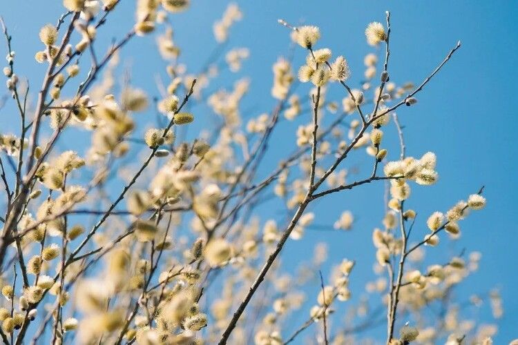 Якою буде погода на Волині 