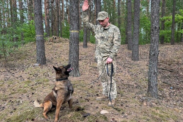 Здійснив дитячу мрію: кінолог з Волині оберігає кордон із чотирилапим напарником
