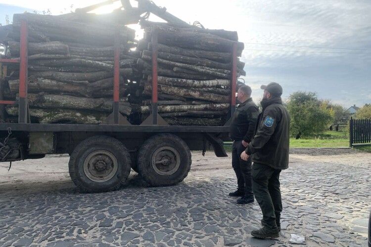 На Волині виявлені незаконні порубки дерев