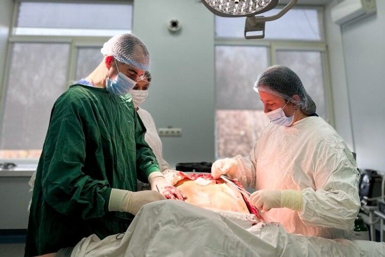 Волинські хірурги видалили понад 30 ліпом пацієнту