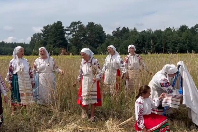На Волині відтворили давні українські традиції під час жнив (Відео)