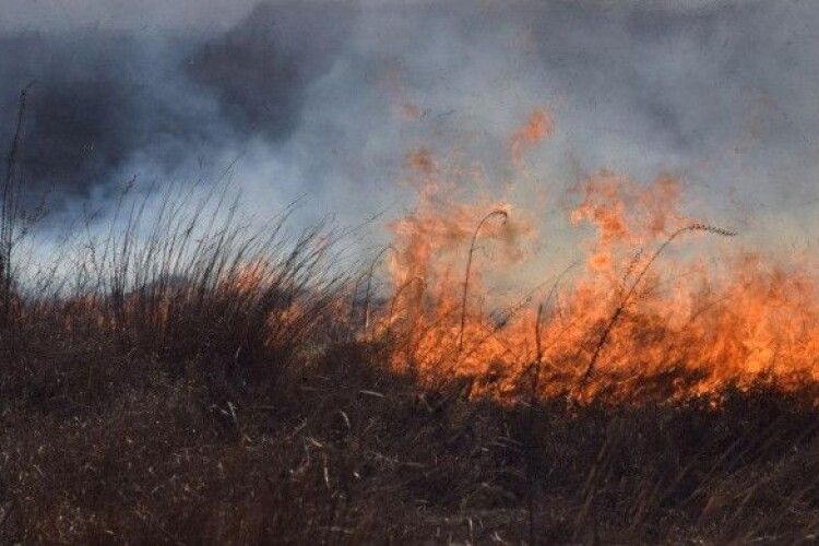 На Волині очікують небезпечну погодну ситуацію