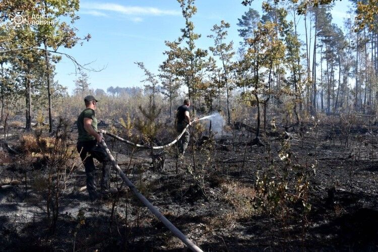 У Луцькому районі триває гасіння лісової пожежі