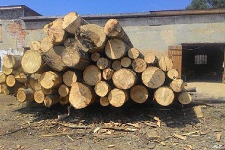 Пилорамщики Волині сплатили податків майже на 40% більше, ніж минулоріч
