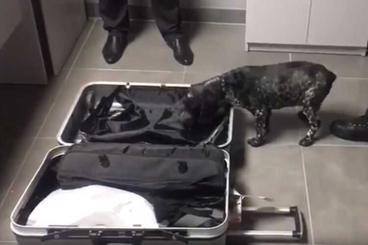 Іноземець намагався перевезти 4 кілограми кокаїну (Відео)