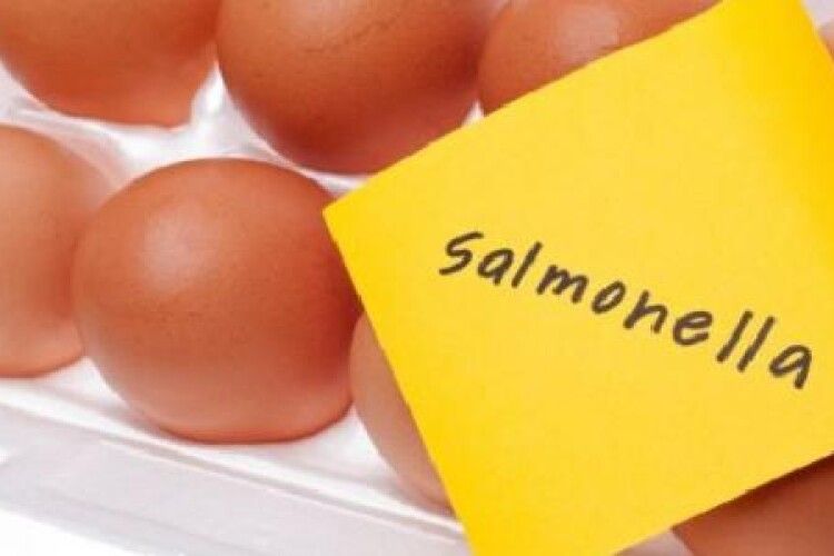 У селі Камінь-Каширського району сім'я захворіла на сальмонельоз, споживаючи в їжу курячі яйця з власного господарства