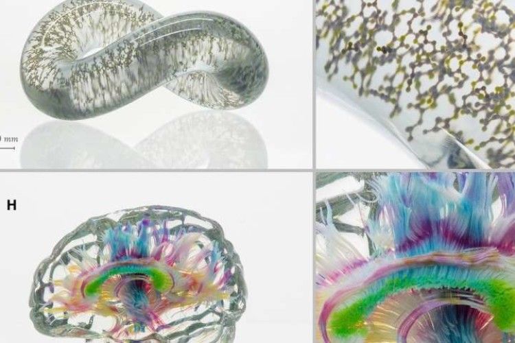 Унікальна технологія дасть змогу друкувати органи людського організму