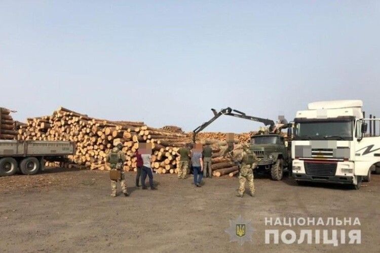 На деревообробному підприємстві Волині під час обшуку вилучили 1200 метрів кубічних лісу