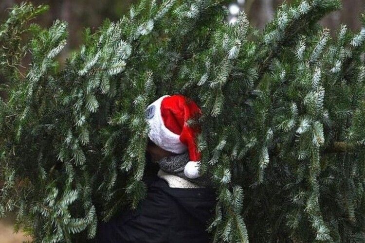 У двох містах на Волині провели рейд «Ялинка»