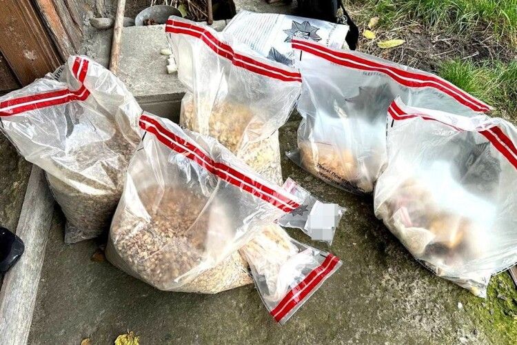 На Сарненщині поліцейські вилучили майже 20 кілограмів бурштину