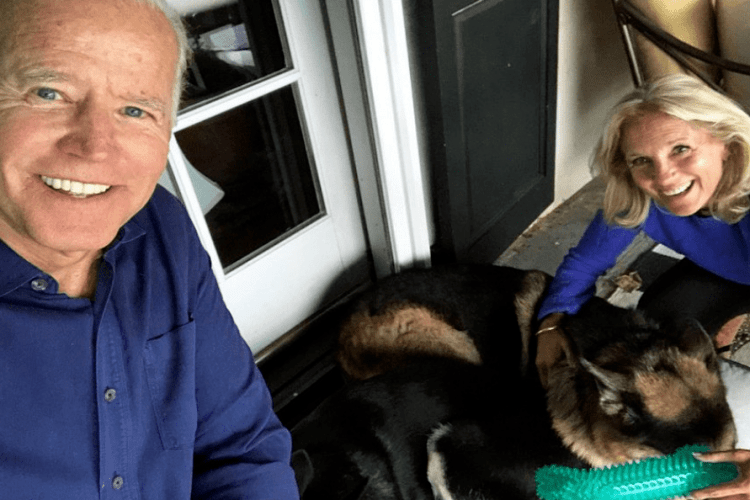 Собаки новообраного президента США Джо Байдена отримали свій інстаграм