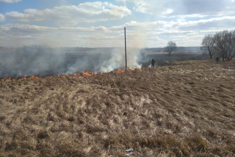 Учора пожежники Волині 8 разів виїжджали гасити палаючу суху траву