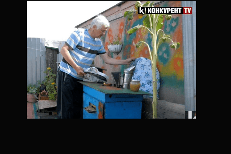 У Луцьку на даху багатоповерхівки чоловік облаштував пасіку (Відео)