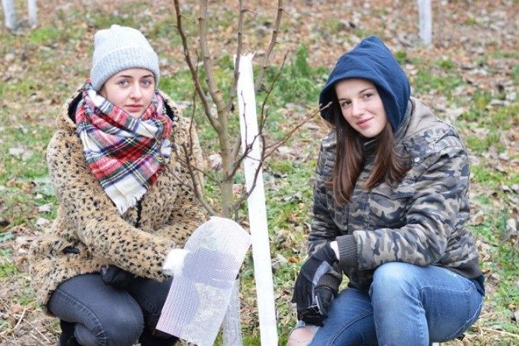 Волинські студенти готували до зими сад лісівників у Воротневі