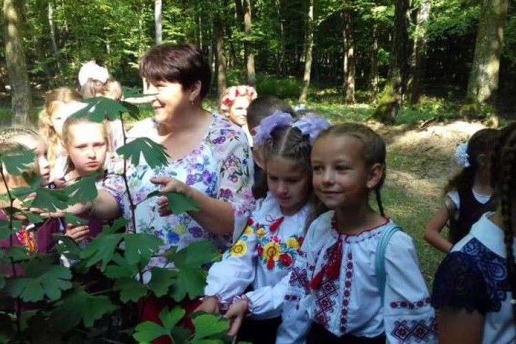 У Лісівничому молодіжному центрі вперше відзначили День знань