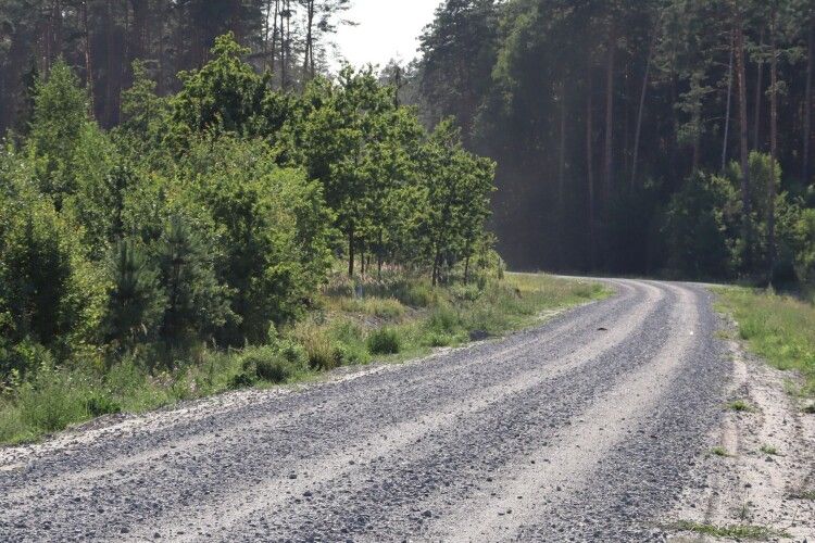 На Волині директор підприємства постане перед судом за махінації на будівництві лісової дороги