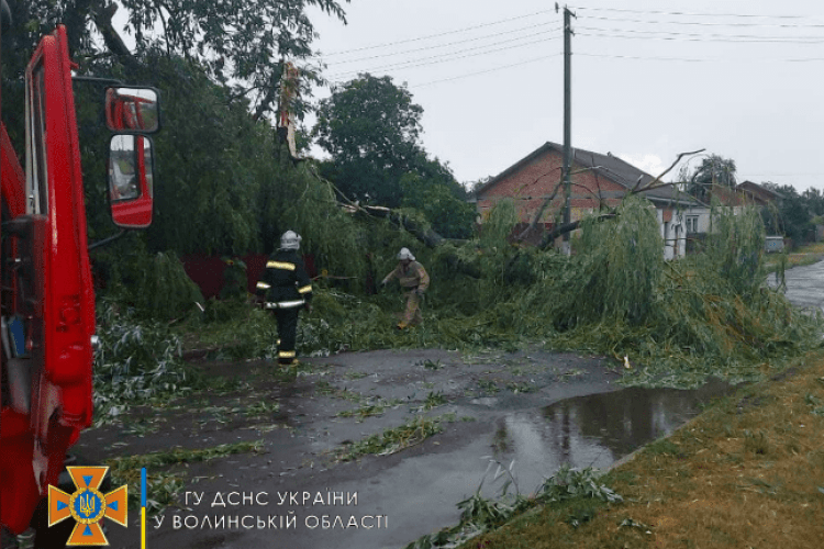 Негода: повалені дерева заблокували дорогу між селами біля Шацьких озер