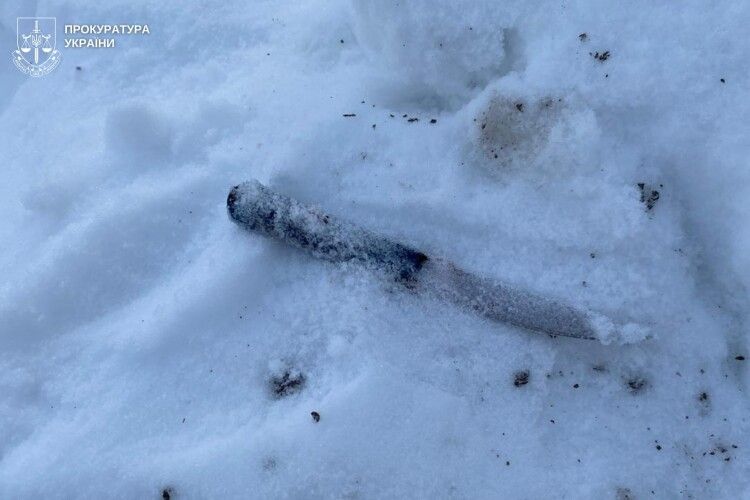 Бив трьома ножами та металевим рівнем: на Львівщині молодик влаштував криваву розправу 